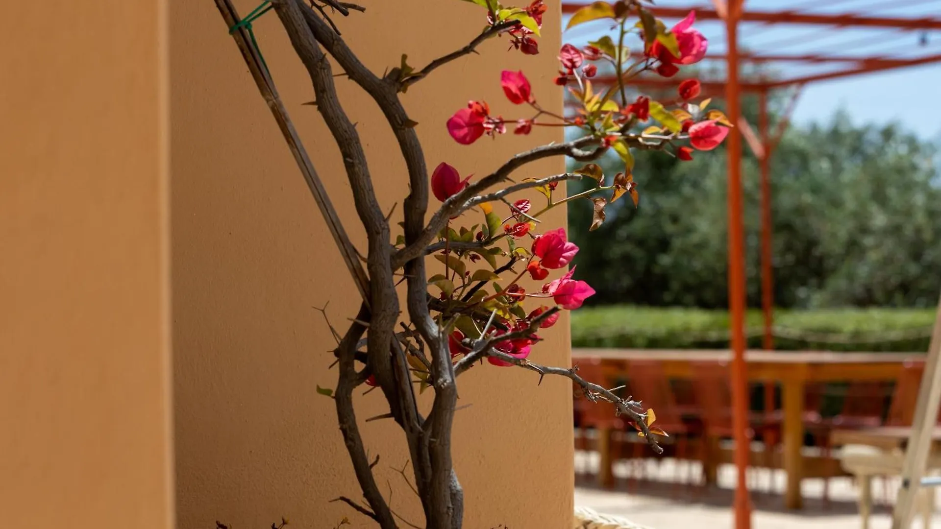 Planeta Country House & Beach Club Menfi Italia