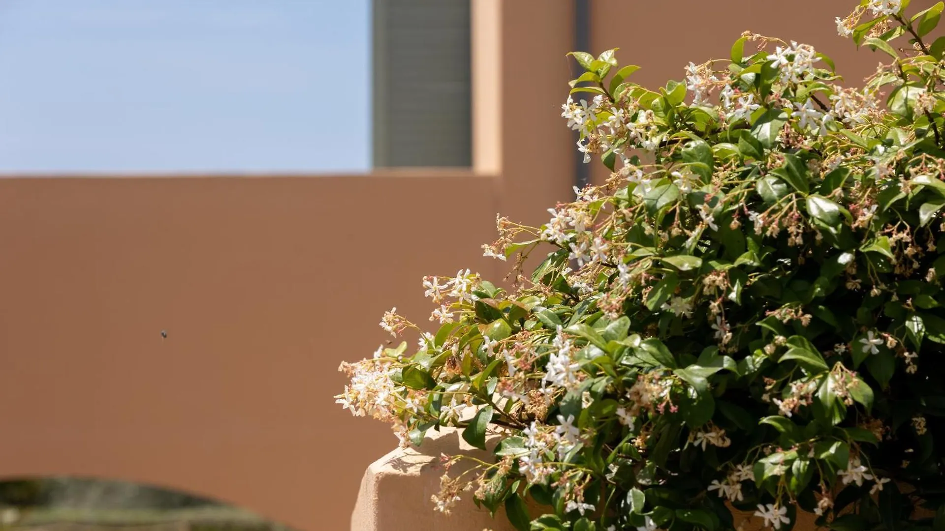 Planeta Country House & Beach Club Menfi